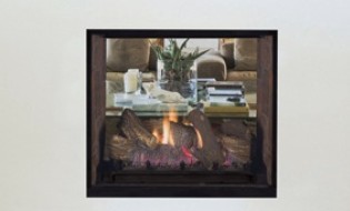 Direct Vent See-Thru Gas Log Fireplace
